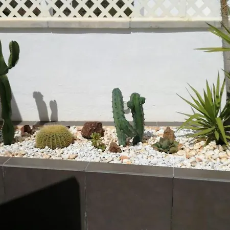 Villa De Luxe San José